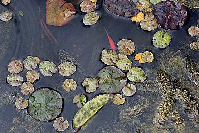 《魔界战记 DISGAEA 7》信息：介绍主要角色、本作伐神模式通用角色